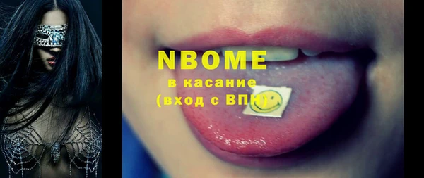 хмурый Пересвет