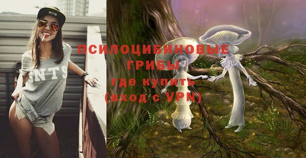 кокс Осташков