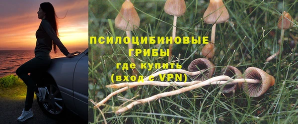 стаф Остров