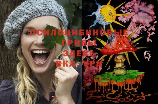 бутират Осинники