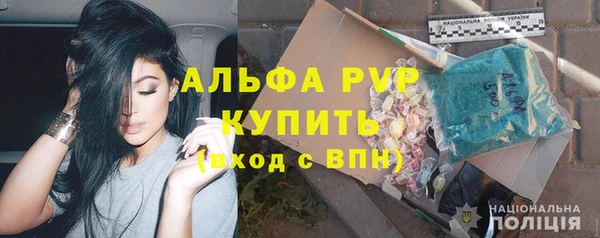 хмурый Пересвет