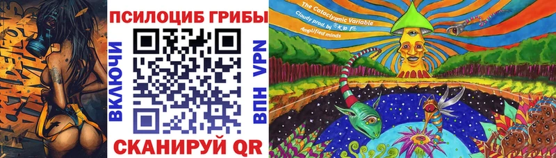 Купить Сальск Галлюциногенные грибы ЛСД